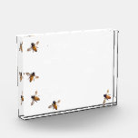 Honeybees
