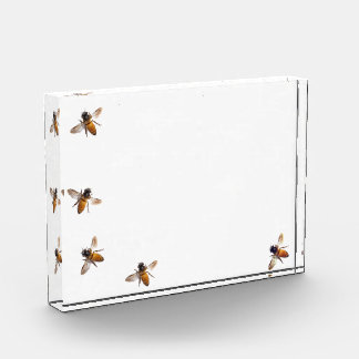 Honeybees acrylic award