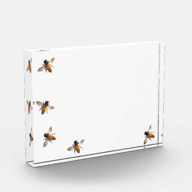 Honeybees  acrylic award (Left)