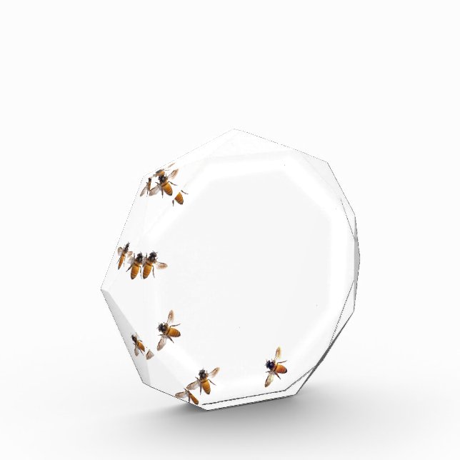 Honeybees  acrylic award (Left)