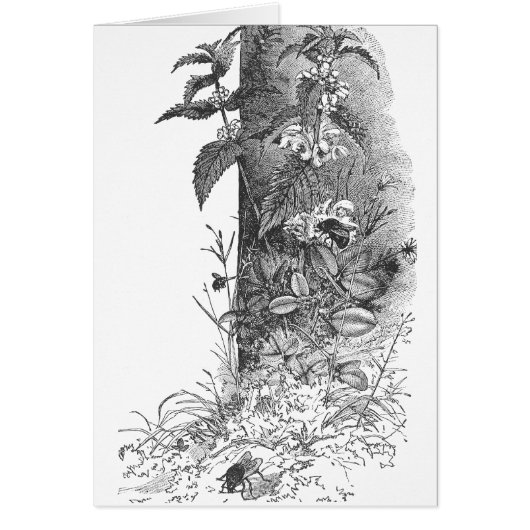 Honeybees Frequent Flowering Mint Cards (Front)