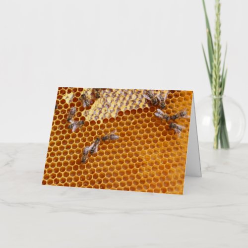 Honeybees in the hive postcard