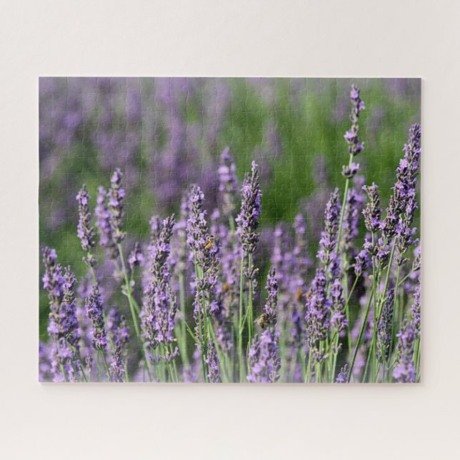 Honeybees on Lavender Flowers Jigsaw Puzzle (Horizontal)