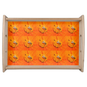 honeybees on orange flowers tray