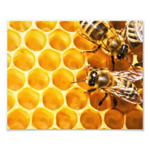 Honeycomb and Bees Pattern Design Photo Print