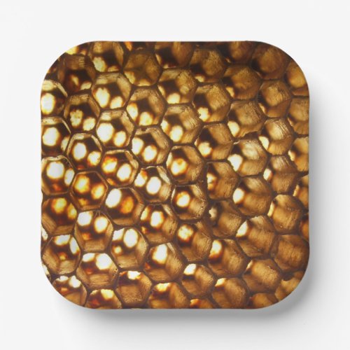 Honeycomb Paper Plate beekeeper party Paper Plates