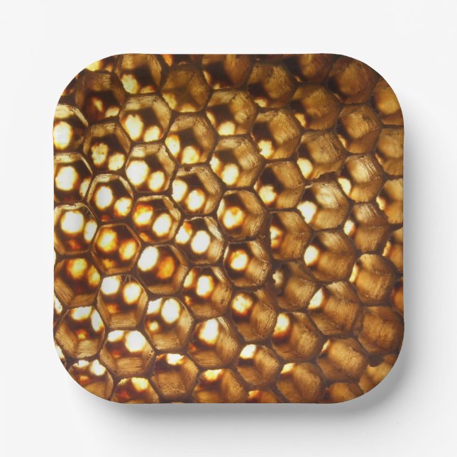 Honeycomb Paper Plate, beekeeper party, Paper Plates (Front)