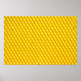 Honeycomb Poster