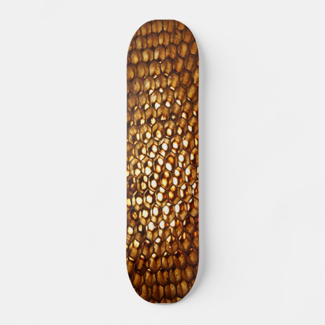 Honeycomb Skateboard Deck (Front)