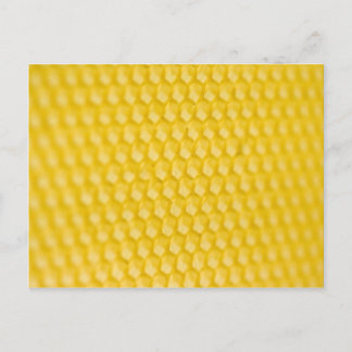 Honeycomb Template In Angle Postcard