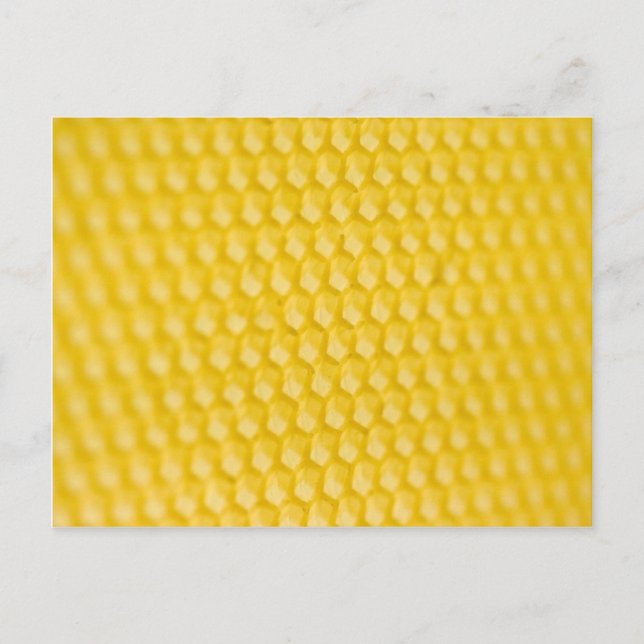 Honeycomb Template In Angle Postcard (Front)