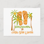 Honeymoon Cabo San Lucas Tshirts and Gifts Postcard<br><div class="desc">If you're a newlywed whose destination honeymoon spot is Cabo San Lucas,  you'll love this flip flops and tropical plant design Honeymooning in Cabo San Lucas T-shirts,  hoodies,  mugs,  buttons,  and other items!</div>