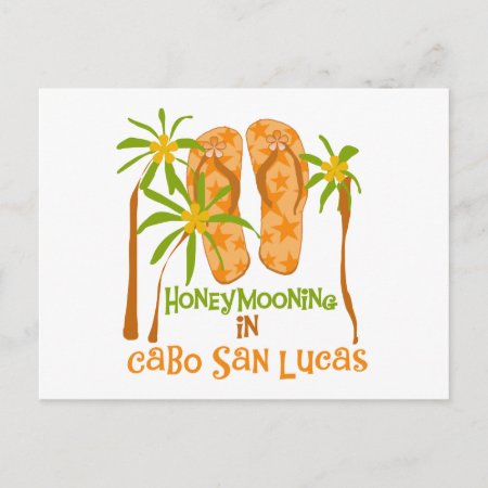 Honeymoon Cabo San Lucas Tshirts And Gifts Postcard