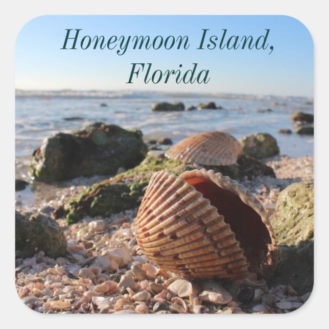 Honeymoon Island Florida beach seashell Square Sticker (Front)