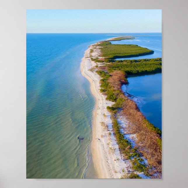 Honeymoon Island, Florida Poster (Front)