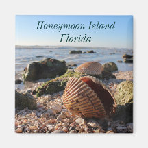 Honeymoon Island Florida Romantic Seashells magnet