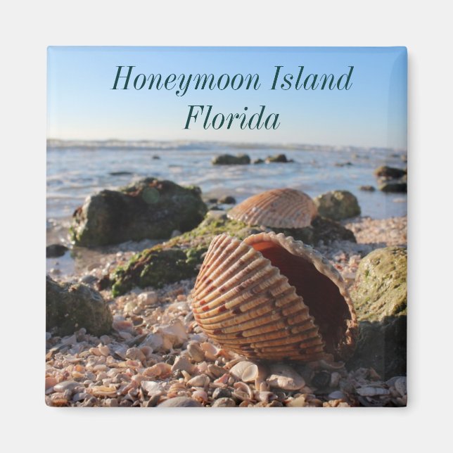 Honeymoon Island Florida Romantic Seashells magnet (Front)