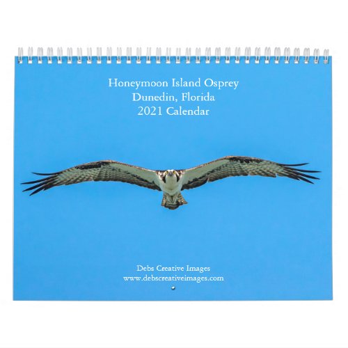 Honeymoon Island Osprey 2021 Calendar