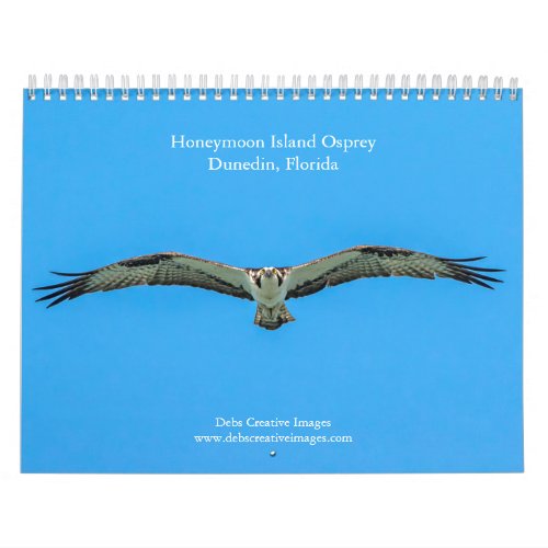 Honeymoon Island Osprey 2025 Calendar