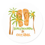 Honeymooning in Cozumel Sticker