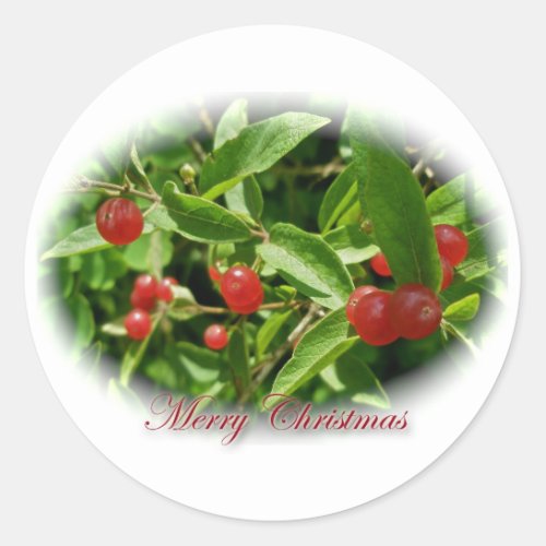 Honeysuckle Berries Christmas Stickers