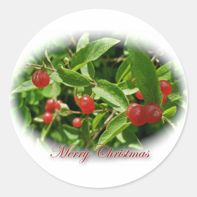 Honeysuckle Berries Christmas Stickers (Front)