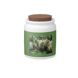 Honeysuckle Blooms Candy Jar