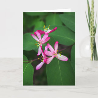 Honeysuckle Blooms Card