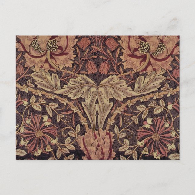 Honeysuckle by William Morris, Garden Flowers Art Postcard (Front)