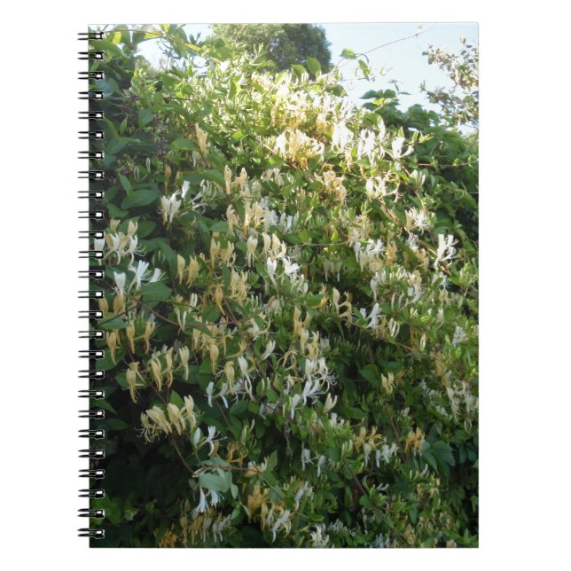 Honeysuckle On A Wall Notebook (Front)