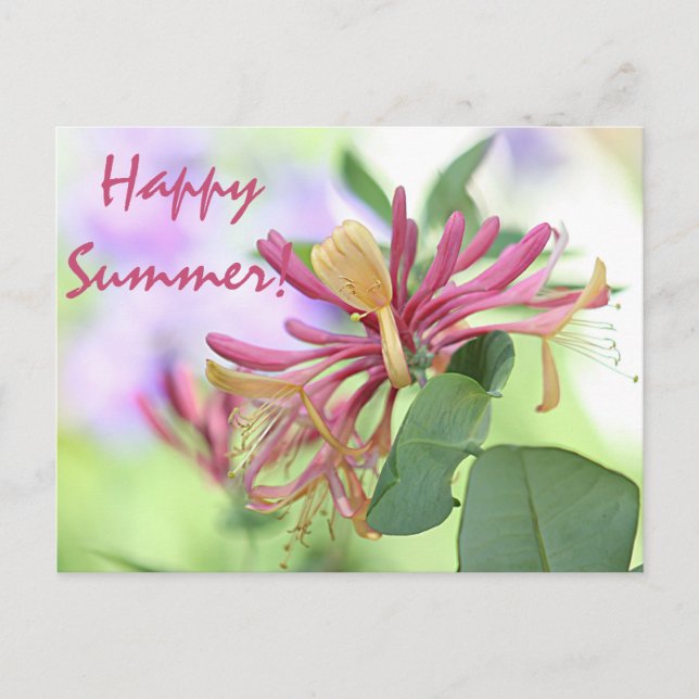 Honeysuckle Postcard (Front)