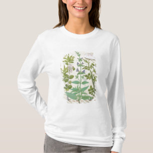 Honeysuckle, Sage and Rose T-Shirt