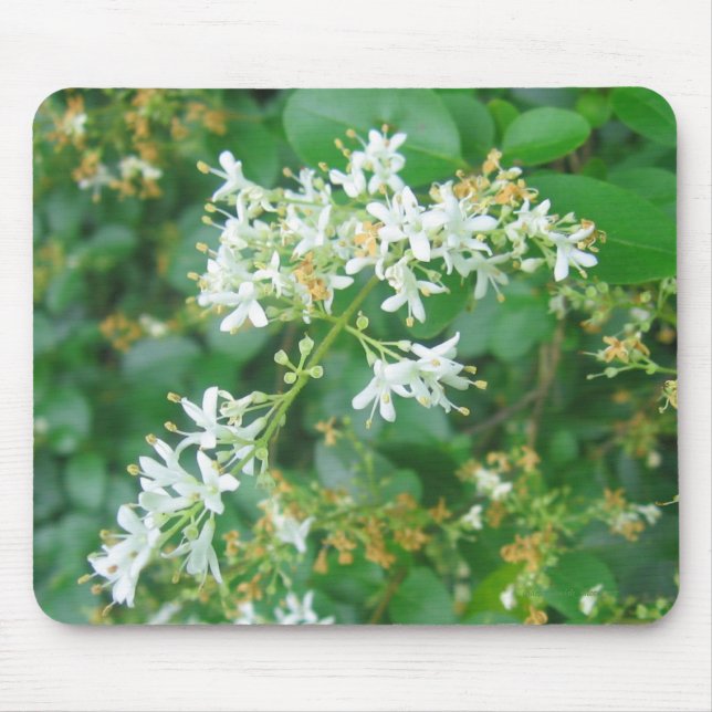 "Honeysuckle Sweet" Mouse Pad (Front)