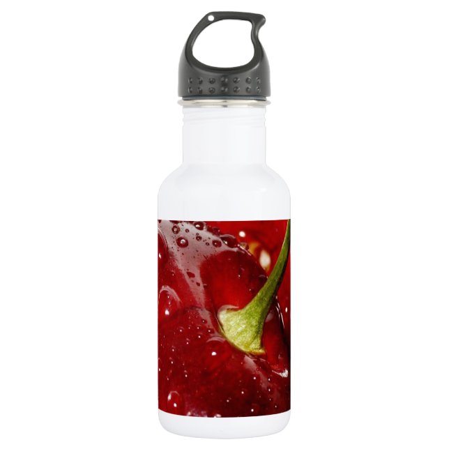 Honeysuckle_sweet Stainless Steel Water Bottle (Front)