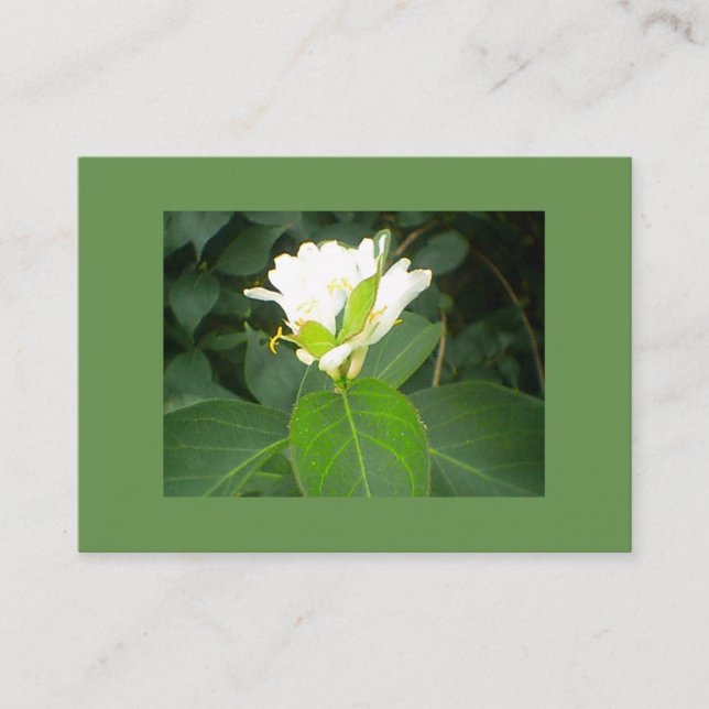 Honeysuckle Tree Business Card (Front)