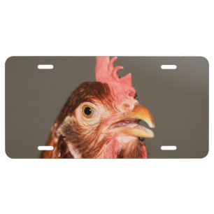 Honk...I mean bawk... License Plate