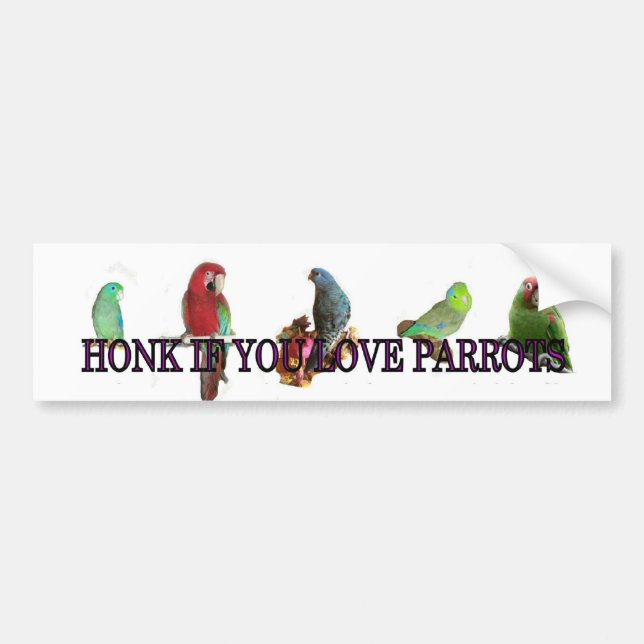 Honk if you love parrots bumper sticker (Front)
