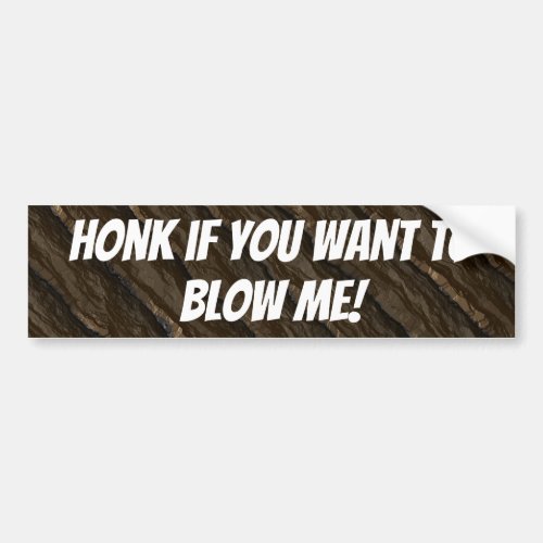 Honk If You Want to Blow Me Bumper Sticker