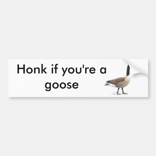 Honk if youre a goose bumper sticker