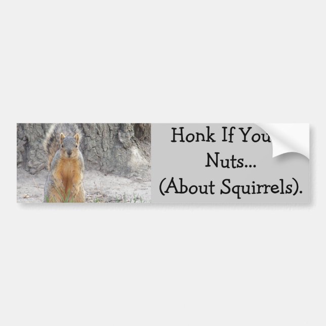 Honk If You're Nuts...About Squirrels Bumper Sticker (Front)