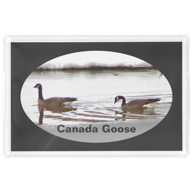 Honkers - Canada Geese Acrylic Tray (Front)