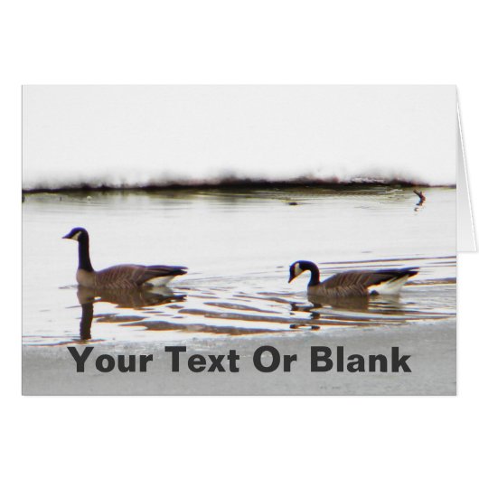 Honkers - Canada Geese Cards (Front Horizontal)