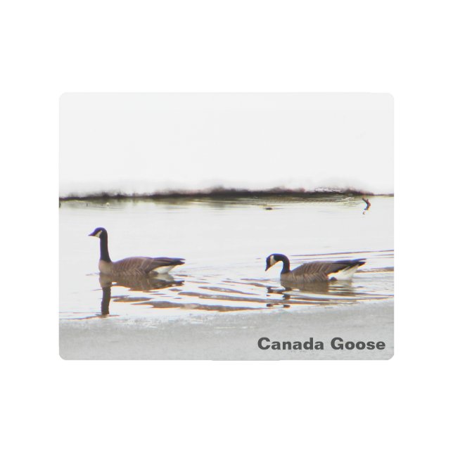 Honkers Canada Geese Metal Print Zazzle