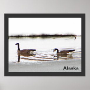 Honkers - Canada Geese Poster
