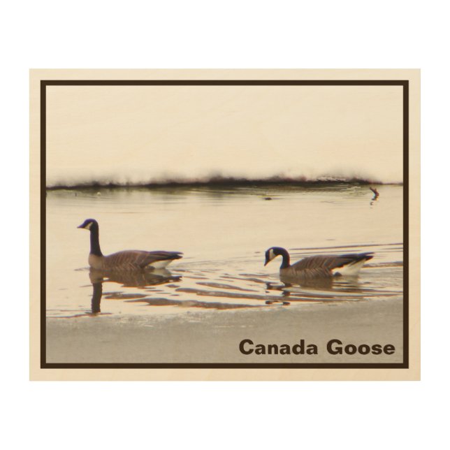 Honkers - Canada Geese Wood Wall Art (Front)