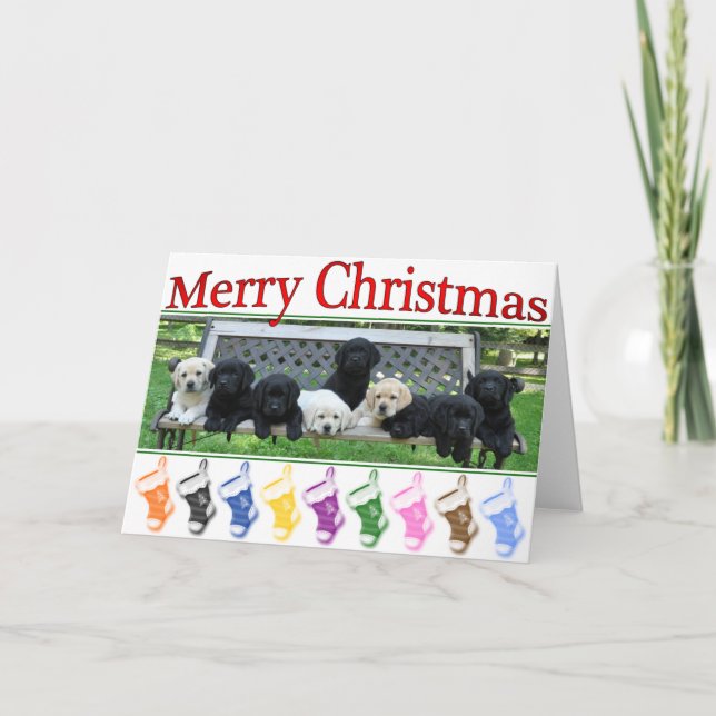 Honor Bench Christmas Holiday Card (Front)