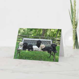 Honor Litter Bench Photo Card