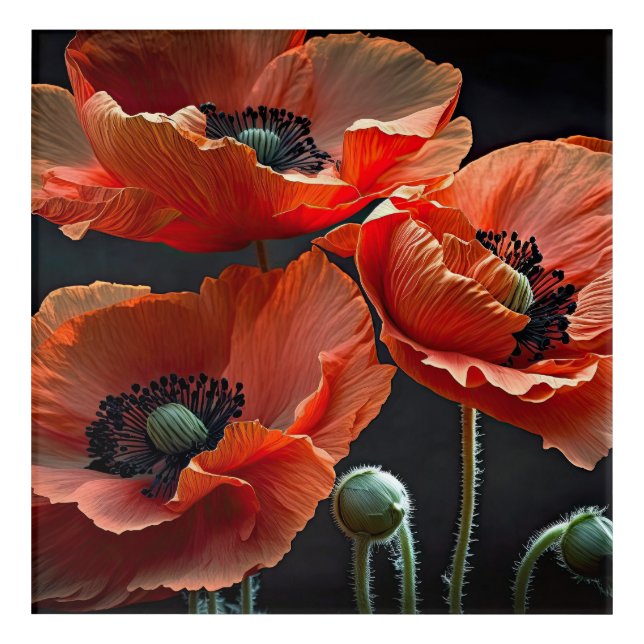 Honor those that gave all  acrylic print (Front)