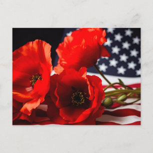 Honor those that gave all postcard