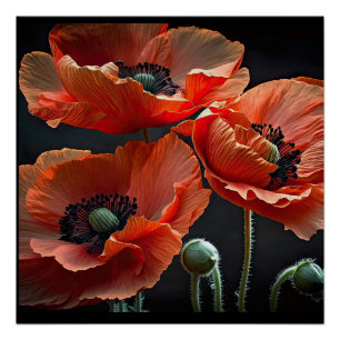Honor those that gave all poster